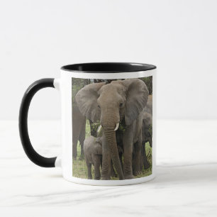 Afrikaanse Olifant Kudde Mok