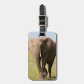 Afrikaanse olifant (Loxodonta Afriana), Maasai Bagagelabel (Voorkant verticaal)
