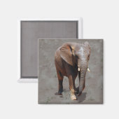 Afrikaanse olifant magneet (Voorkant / Achterkant)