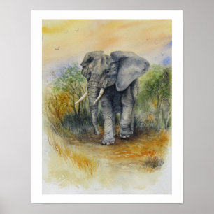 Afrikaanse Olifant Poster