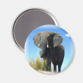 Afrikaanse olifant ronde magneet (Voorkant / Achterkant)