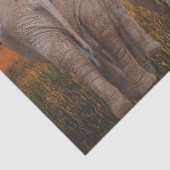 Afrikaanse olifant Sunset Tissuepapier (Detail)