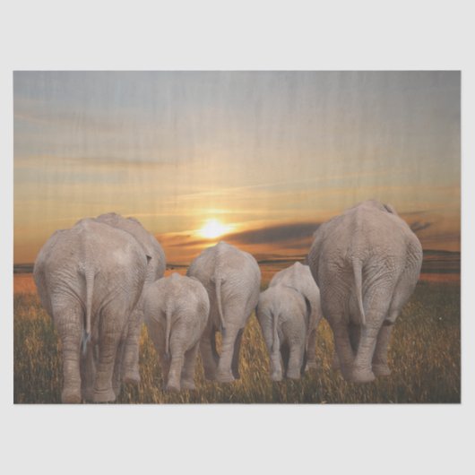Afrikaanse olifant Sunset Tissuepapier (Voorkant)