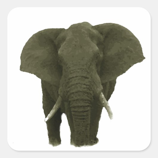 Afrikaanse olifant vierkante sticker (Voorkant)
