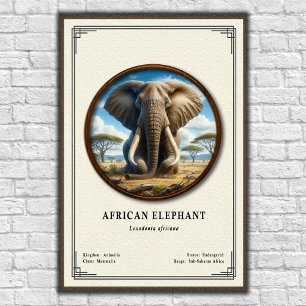 Afrikaanse Olifant Zoölogie Serie Poster