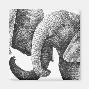 Afrikaanse olifanten Magnet Magneet