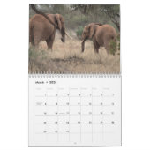 Afrikaanse Olifanten Muurkalender Kalender (Mar 2026)