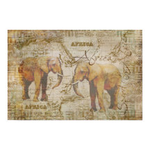 Afrikaanse olifanten