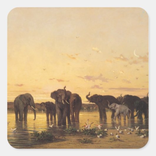 Afrikaanse olifanten vierkante sticker (Voorkant)