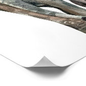 Afrikaanse olifanten wild dier poster (Hoek)