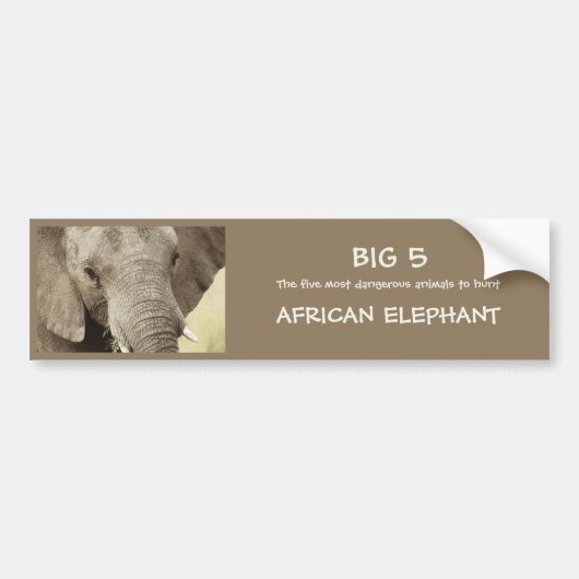 Afrikaanse olifantensafari-stickers bumpersticker (Voorkant)