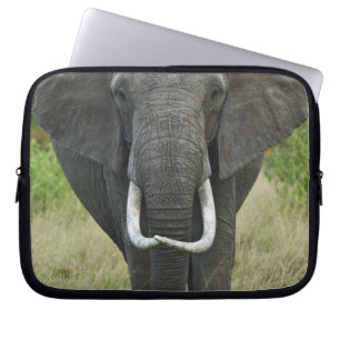 Afrikaanse Olifantloxodonta, Masai Mara wildreserv Laptop Sleeve