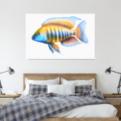 Afrikaanse Peacock Cichlid Fish Wrapped Canvas (Insitu (Slaapkamer))