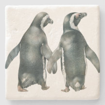 Afrikaanse Penguin Pair