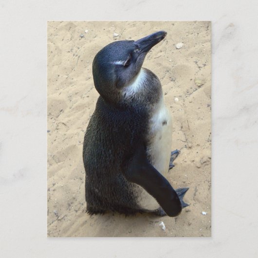 Afrikaanse peper briefkaart (Voorkant)