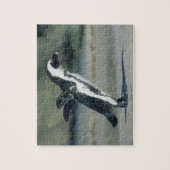 Afrikaanse pinguïn legpuzzel (Verticaal)