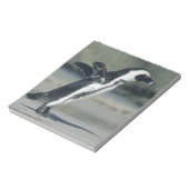 Afrikaanse pinguïn notitieblok (Gedraaid)