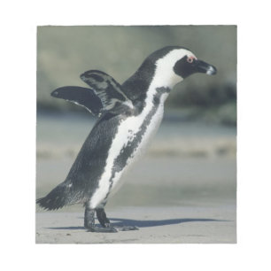 Afrikaanse pinguïn notitieblok