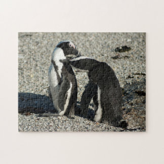 Afrikaanse pinguïns die elkaar kruipen legpuzzel