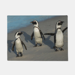 Afrikaanse pinguïns Sfeniscus Demersus Deurmat