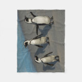 Afrikaanse pinguïns | Sfeniscus Demersus Fleece Deken (Voorkant)