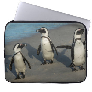 Afrikaanse pinguïns   Sfeniscus Demersus Laptop Sleeve