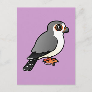 Afrikaanse Pygmy Falcon Briefkaart