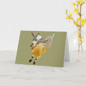 Afrikaanse Pygmy Geit Kaart (Gele Bloem)