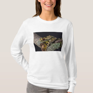 Afrikaanse Rode Oog Boomkikker, Leptopelis T-shirt