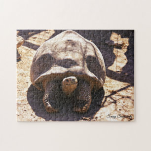 Afrikaanse rode schildpad legpuzzel