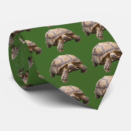 Afrikaanse rode schildpad stropdas (Opgerold)