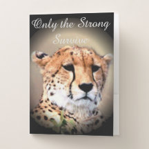Afrikaanse Safari Cheetah alleen de sterkste overl