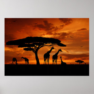Afrikaanse Safari op Sunset Poster