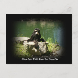 Afrikaanse Safari Wildlife Ohio Briefkaart