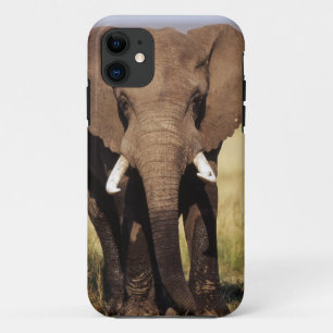 Afrikaanse savanneolifant iPhone 11 hoesje