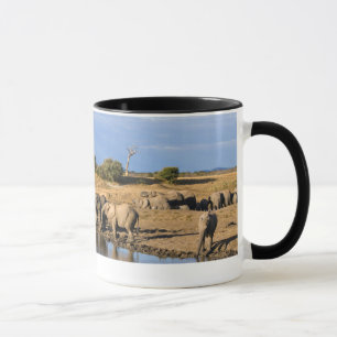 Afrikaanse savanneolifant (Loxodonta Africana) kud Mok