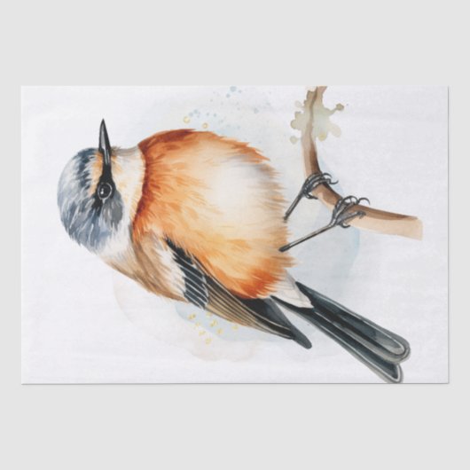Afrikaanse Stonechat Bird Tissuepapier (Voorkant)