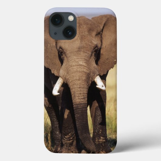 Afrikaanse Struik Elephant Case-Mate iPhone Case (Achterkant)