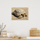 Afrikaanse tortoise ter plekke poster (Keuken)