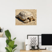 Afrikaanse tortoise ter plekke poster (Thuiskantoor)