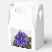 Afrikaanse Violet Blooming Bedankdoosjes (Geopend)