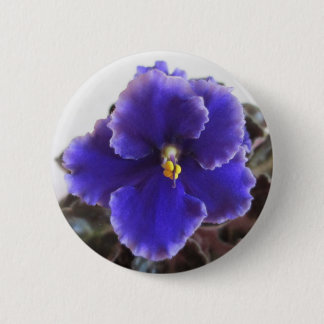 Afrikaanse Violet Blooming Ronde Button 5,7 Cm