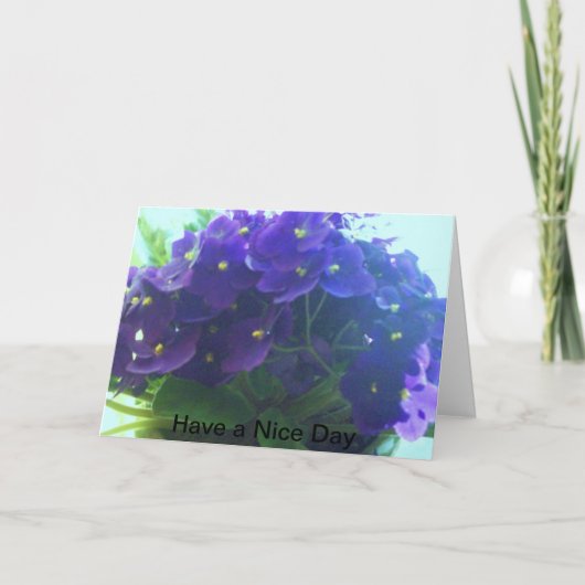 Afrikaanse Violet Kaart (Voorkant)