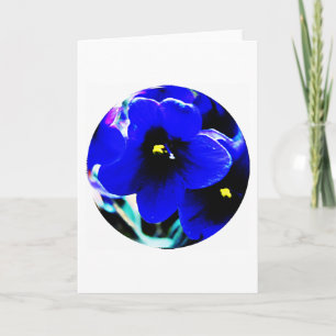 Afrikaanse Violet Kaart