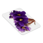 Afrikaanse violet magneet (Rechterzijde)