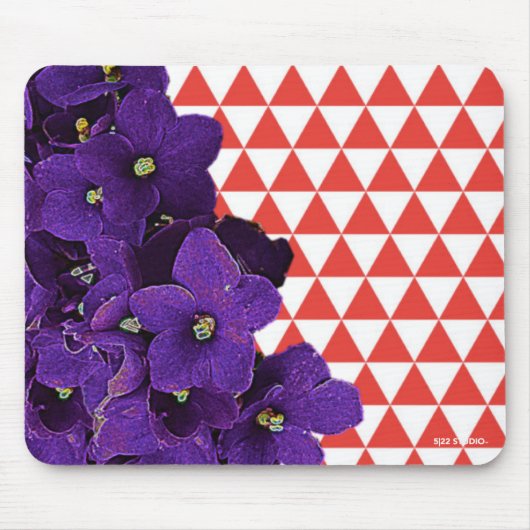 Afrikaanse Violet Muismat (Voorkant)