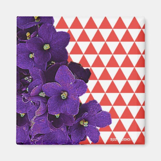 Afrikaanse Violet Red Pyramid Magnet Magneet (Voorkant)