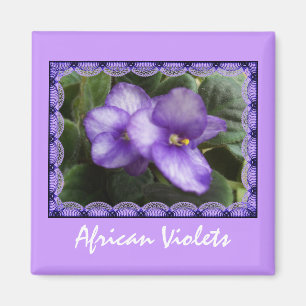 Afrikaanse Violets Magnet Magneet