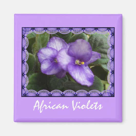 Afrikaanse vioolmagneet magneet (Voorkant)