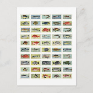 Afrikaanse vis briefkaart